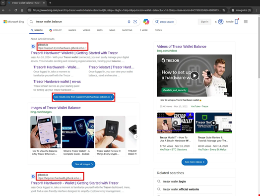 Malicious results for “Trezor Wallet Balance” search using Microsoft Bing. Source: SentinelOne